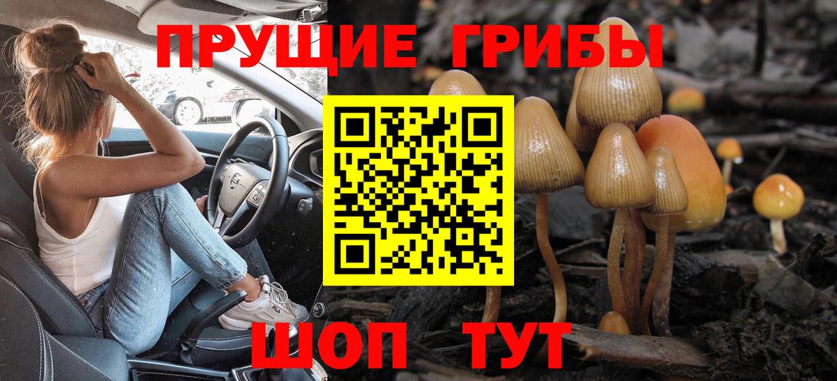 Галлюциногенные грибы мицелий Зерноград